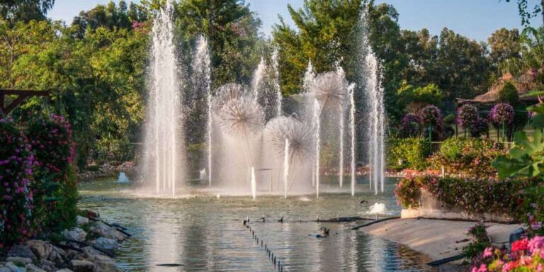 Uncovering Utopiaguide LI’s Secret utopiaguide li